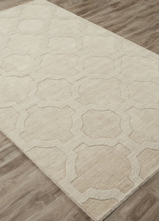 Jaipur Living Seneca Amberlight SEN07 White/Light Gray Area Rug