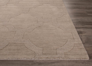 Jaipur Living Seneca Amberlight SEN07 White/Light Gray Area Rug