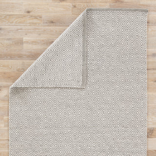 Jaipur Living Sigrid Shox SIG03 Gray/White Area Rug