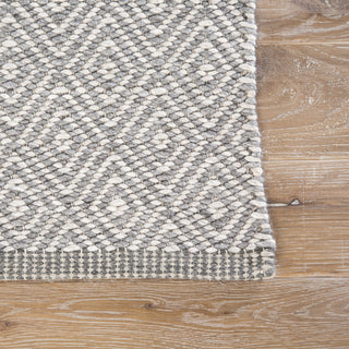 Jaipur Living Sigrid Shox SIG03 Gray/White Area Rug