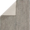 Jaipur Living Silvermine Carter SIV04 Gray Area Rug