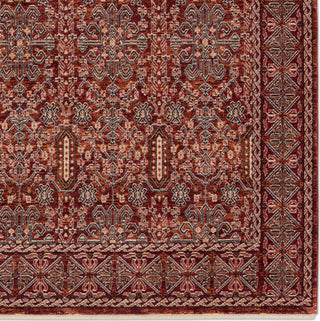 Jaipur Living Solene Jairus SLE03 Red/Black Area Rug Detail Image