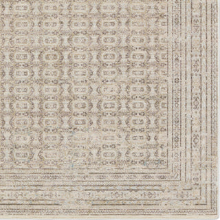 Jaipur Living Solene Vesper SLE07 Cream/Light Gray Area Rug Detail Image