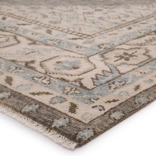 Jaipur Living Salinas Farwell SLN06 Blue/Ivory Area Rug