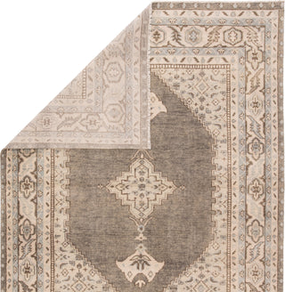 Jaipur Living Salinas Farwell SLN06 Blue/Ivory Area Rug