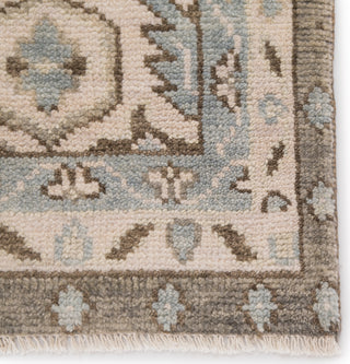 Jaipur Living Salinas Farwell SLN06 Blue/Ivory Area Rug