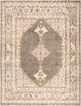 Jaipur Living Salinas Farwell SLN06 Blue/Ivory Area Rug