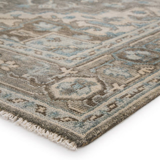 Jaipur Living Salinas Flynn SLN07 Gray/Blue Area Rug