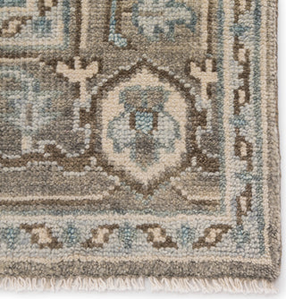 Jaipur Living Salinas Flynn SLN07 Gray/Blue Area Rug