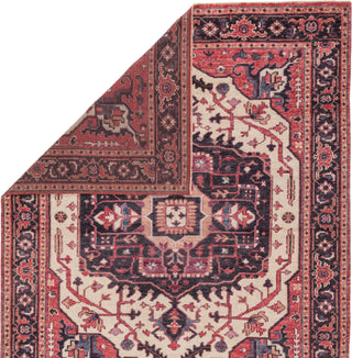 Jaipur Living Salinas Mascoma SLN09 Red/Purple Area Rug