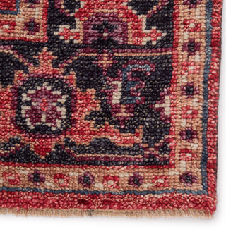 Jaipur Living Salinas Mascoma SLN09 Red/Purple Area Rug