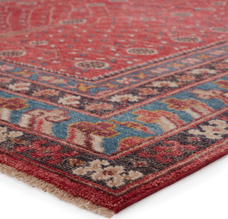 Jaipur Living Salinas Donte SLN13 Red/Blue Area Rug