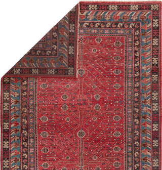 Jaipur Living Salinas Donte SLN13 Red/Blue Area Rug