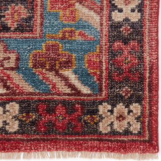 Jaipur Living Salinas Donte SLN13 Red/Blue Area Rug