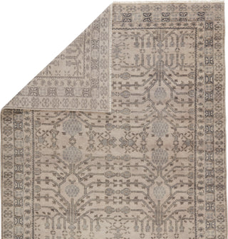 Jaipur Living Salinas Cosimo SLN14 Gray Area Rug