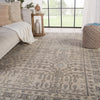 Jaipur Living Salinas Cosimo SLN14 Gray Area Rug Lifestyle Image Feature