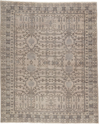 Jaipur Living Salinas Cosimo SLN14 Gray Area Rug