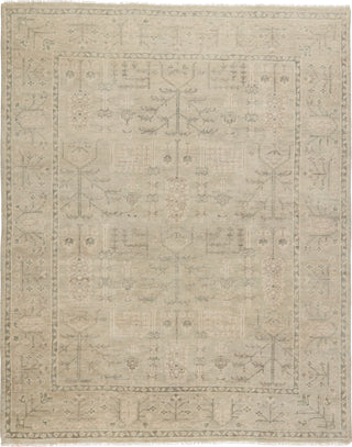 Jaipur Living Salinas Ginerva SLN16 Cream/Green Area Rug