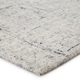 Jaipur Living Salix Macklin SLX02 Light Gray/Light Blue Area Rug