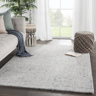 Jaipur Living Salix Macklin SLX02 Light Gray/Light Blue Area Rug