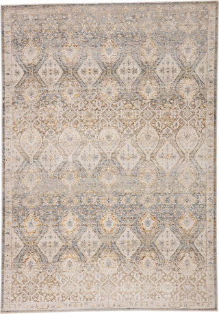 Jaipur Living Sinclaire Hakeem SNL01 Gray/Gold Area Rug by Vibe