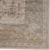 Jaipur Living Sinclaire Tajsa SNL02 Gray/Gold Area Rug by Vibe