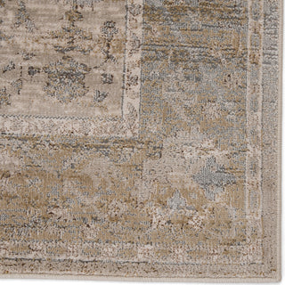 Jaipur Living Sinclaire Tajsa SNL02 Gray/Gold Area Rug by Vibe