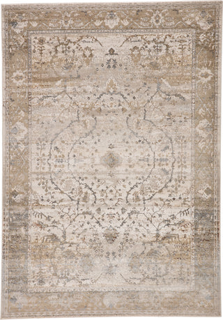 Jaipur Living Sinclaire Tajsa SNL02 Gray/Gold Area Rug by Vibe