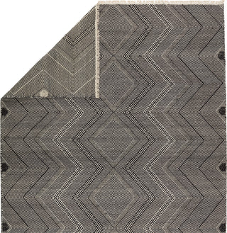 Jaipur Living Satori Galexia STR02 Black/Cream Area Rug Backing Image