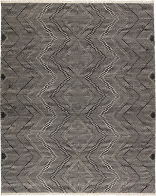 Jaipur Living Satori Galexia STR02 Black/Cream Area Rug main image