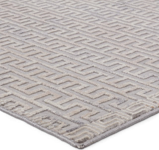 Jaipur Living Sundar Baxley SUD06 Gray/Beige Area Rug Corner Image