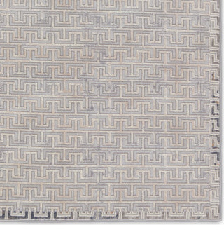 Jaipur Living Sundar Baxley SUD06 Gray/Beige Area Rug Detail Image