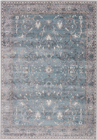 Jaipur Living Sarzana Yule SZN03 Blue/Gray Area Rug - Top Down