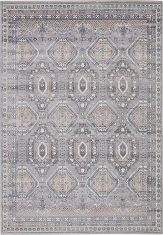 Jaipur Living Sarzana Cabazon SZN05 Gray/Beige Area Rug - Top Down