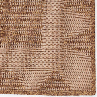 Jaipur Living Tahiti Akamai TAH04 Beige/Light Brown Area Rug by Vibe Corner Close Up Image