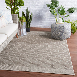 Jaipur Living Tahiti Motu TAH05 Gray/Taupe Area Rug by Vibe Lifestyle Image Feature