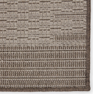 Jaipur Living Tahiti Poerava TAH07 Gray/Taupe Area Rug by Vibe Detail Image