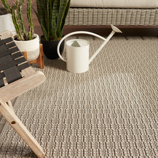 Jaipur Living Tahiti Poerava TAH07 Gray/Taupe Area Rug by Vibe Main Image