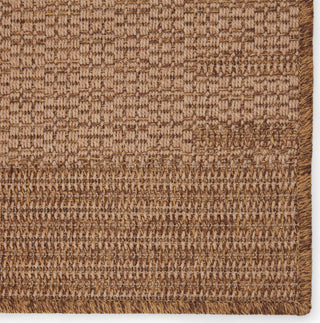 Jaipur Living Tahiti Poerava TAH08 Beige/Light Brown Area Rug by Vibe Detail Image