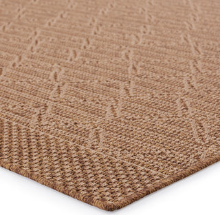 Jaipur Living Tahiti Motu TAH12 Light Brown/Beige Area Rug by Vibe Corner Image