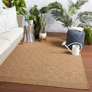 Jaipur Living Tahiti Motu TAH12 Light Brown/Beige Area Rug by Vibe Lifestyle Image Feature