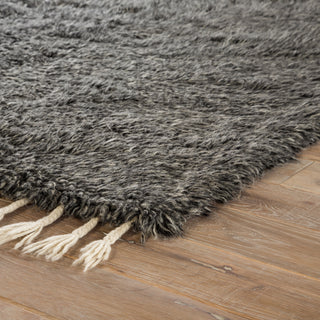 Jaipur Living Tala TAL01 Dark Gray/Silver Area Rug