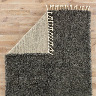 Jaipur Living Tala TAL01 Dark Gray/Silver Area Rug