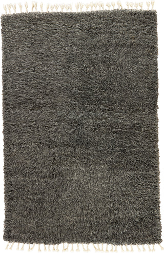 Jaipur Living Tala TAL01 Dark Gray/Silver Area Rug