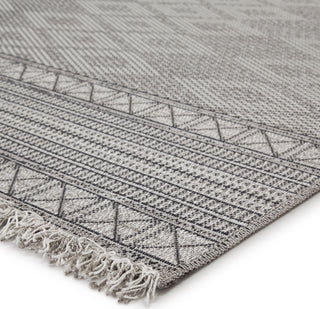 Jaipur Living Tikal Ramos TKL04 Gray/Light Gray Area Rug