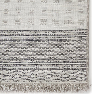 Jaipur Living Tikal Marion TKL05 Gray/Light Gray Area Rug