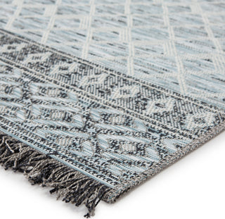 Jaipur Living Tikal Ravi TKL06 Gray/Light Blue Area Rug