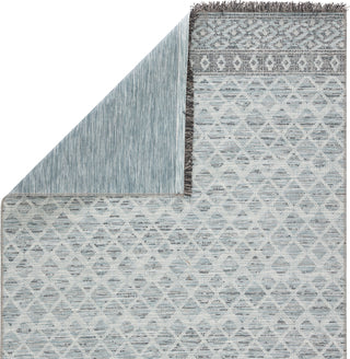 Jaipur Living Tikal Ravi TKL06 Gray/Light Blue Area Rug