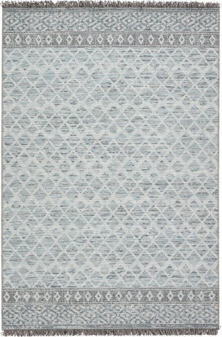 Jaipur Living Tikal Ravi TKL06 Gray/Light Blue Area Rug