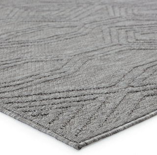 Jaipur Living Tajiri By Nikki Chu Adana TNC04 Gray Area Rug